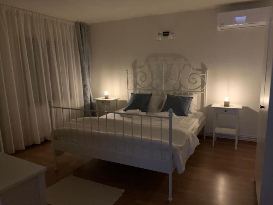 Pensiunea Valea Susitei, Ciubar, Sauna, Atv, Safarii Jepp Offroad Ghid Turistic, Climbing, Rafting, Paragliding Târgu Jiu Εξωτερικό φωτογραφία