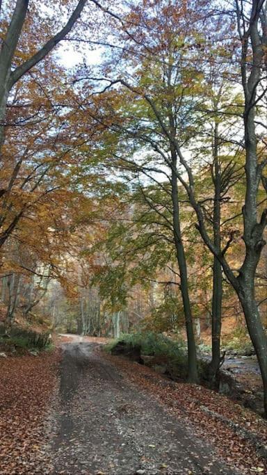 Pensiunea Valea Susitei, Ciubar, Sauna, Atv, Safarii Jepp Offroad Ghid Turistic, Climbing, Rafting, Paragliding Târgu Jiu Εξωτερικό φωτογραφία