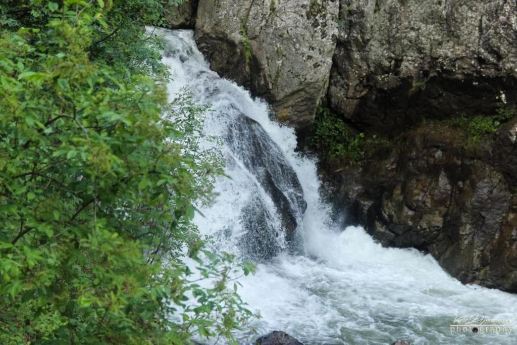 Pensiunea Valea Susitei, Ciubar, Sauna, Atv, Safarii Jepp Offroad Ghid Turistic, Climbing, Rafting, Paragliding Târgu Jiu Εξωτερικό φωτογραφία