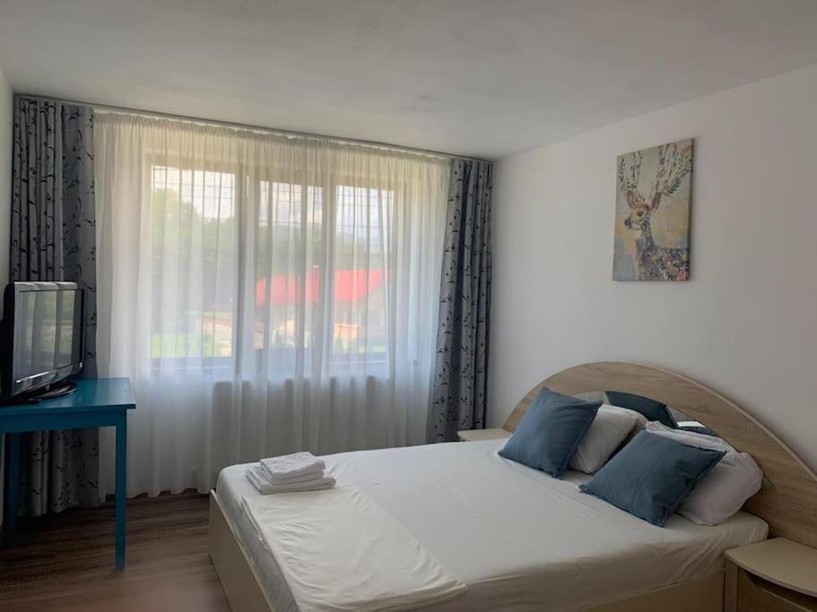 Pensiunea Valea Susitei, Ciubar, Sauna, Atv, Safarii Jepp Offroad Ghid Turistic, Climbing, Rafting, Paragliding Târgu Jiu Εξωτερικό φωτογραφία